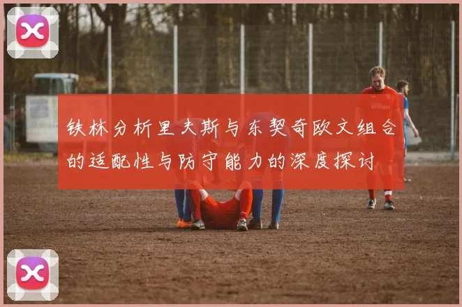 铁林分析里夫斯与东契奇欧文组合的适配性与防守能力的深度探讨